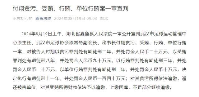企鹅体育直播-武汉足协原秘书长付翔获刑11年 并处罚金140万